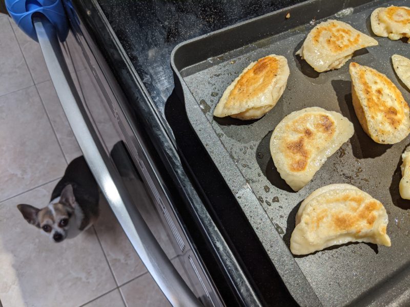 Ham and Cheese Perogies » RecipeCollage.com » September 15, 2025