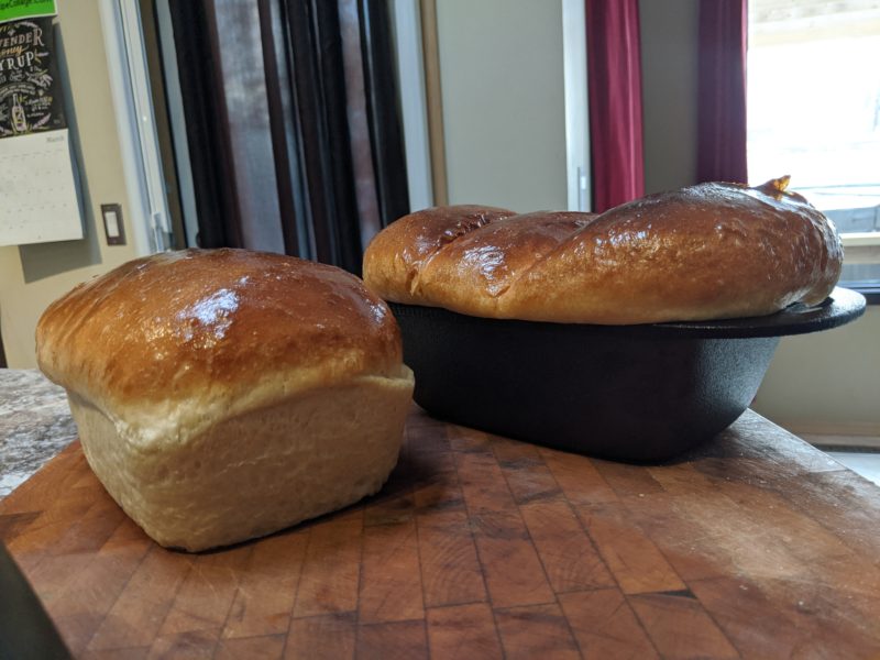 White Bread, Dinner Rolls & Hamburg Buns » RecipeCollage.com » September 15, 2025