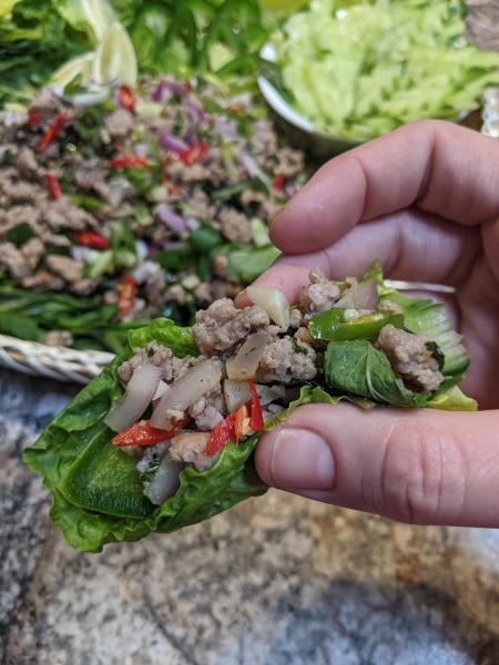 Pork Larb » RecipeCollage.com » September 15, 2025