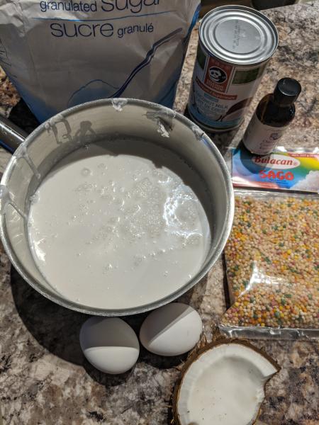 Coconut Tapioca Pudding » RecipeCollage.com » September 15, 2025