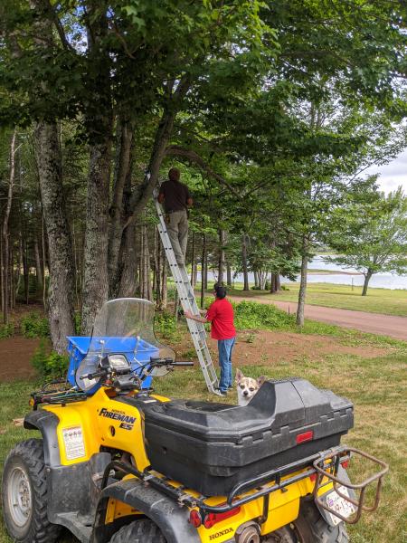 Grand Barachois, New Brunswick » RecipeCollage.com » September 15, 2025