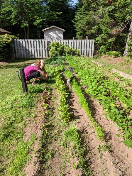Grand Barachois, New Brunswick » RecipeCollage.com » September 15, 2025