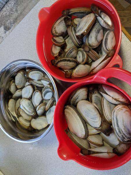 Fried Clams » RecipeCollage.com » September 15, 2025