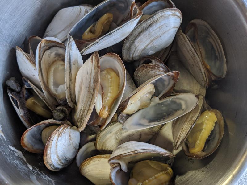 Fried Clams » RecipeCollage.com » September 15, 2025
