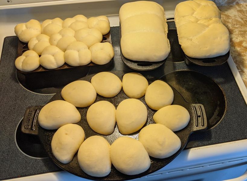 White Bread, Dinner Rolls & Hamburg Buns » RecipeCollage.com » September 15, 2025
