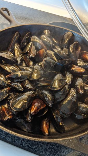 Cajun Seafood Steam » RecipeCollage.com » September 15, 2025