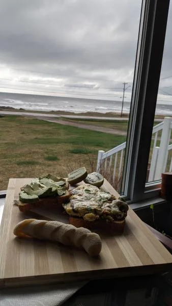 Mussel Fritatta » RecipeCollage.com Mussel Fritatta » RecipeCollage.com » October 31, 2025